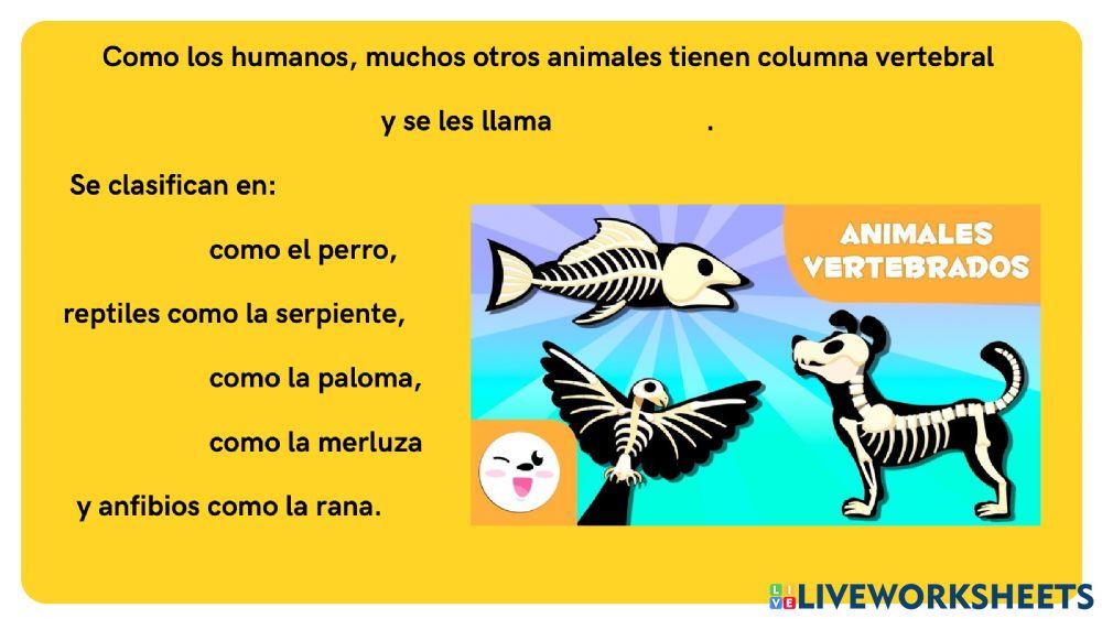 Repaso seres vivos 5°