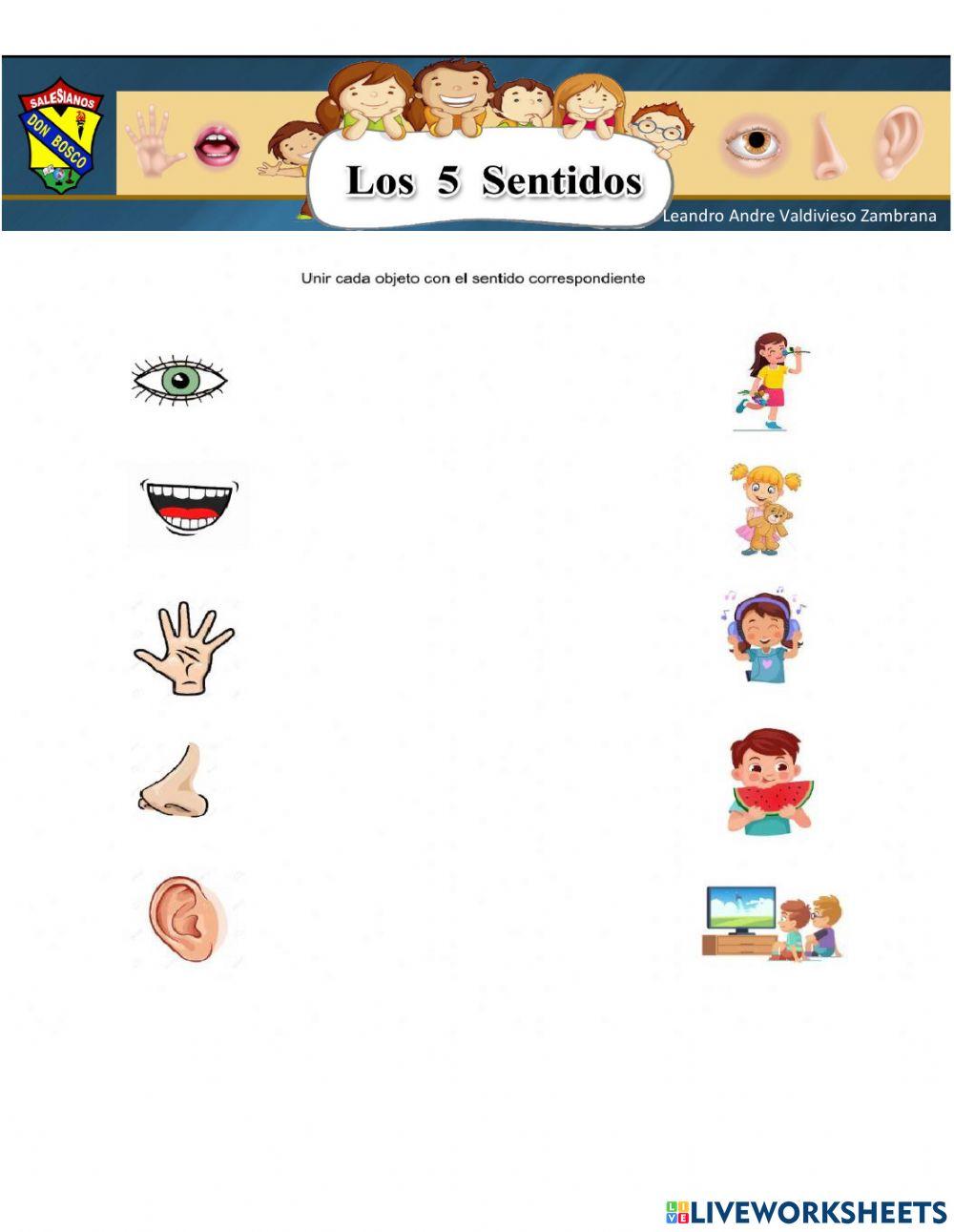 Los 5 Sentidos