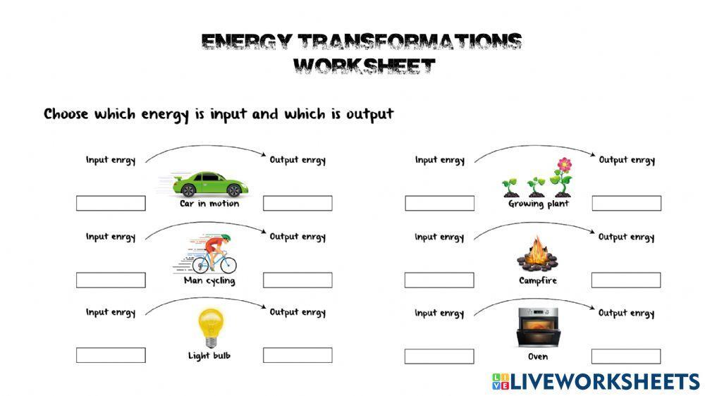 Energy Input Output Worksheet