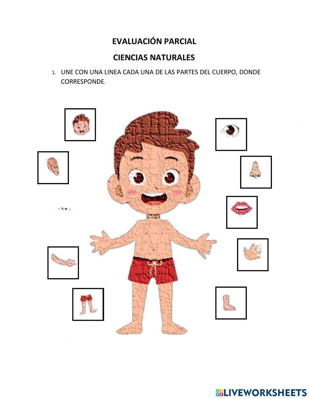 Evaluación de ciencias naturales