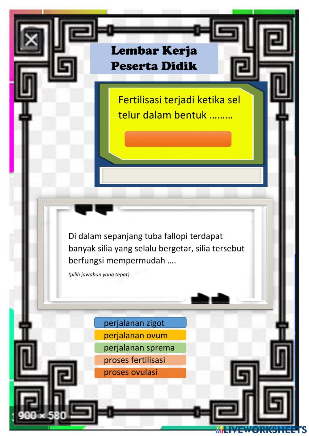 LKPD Sistem Reproduksi Manusia