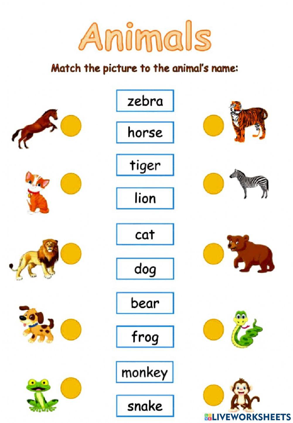 Names of animals