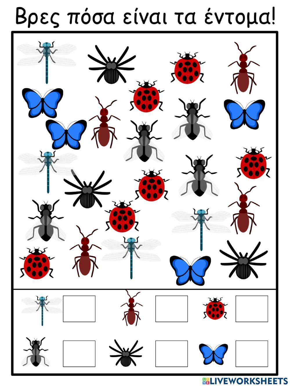 Βρες πόσα είναι τα έντομα!