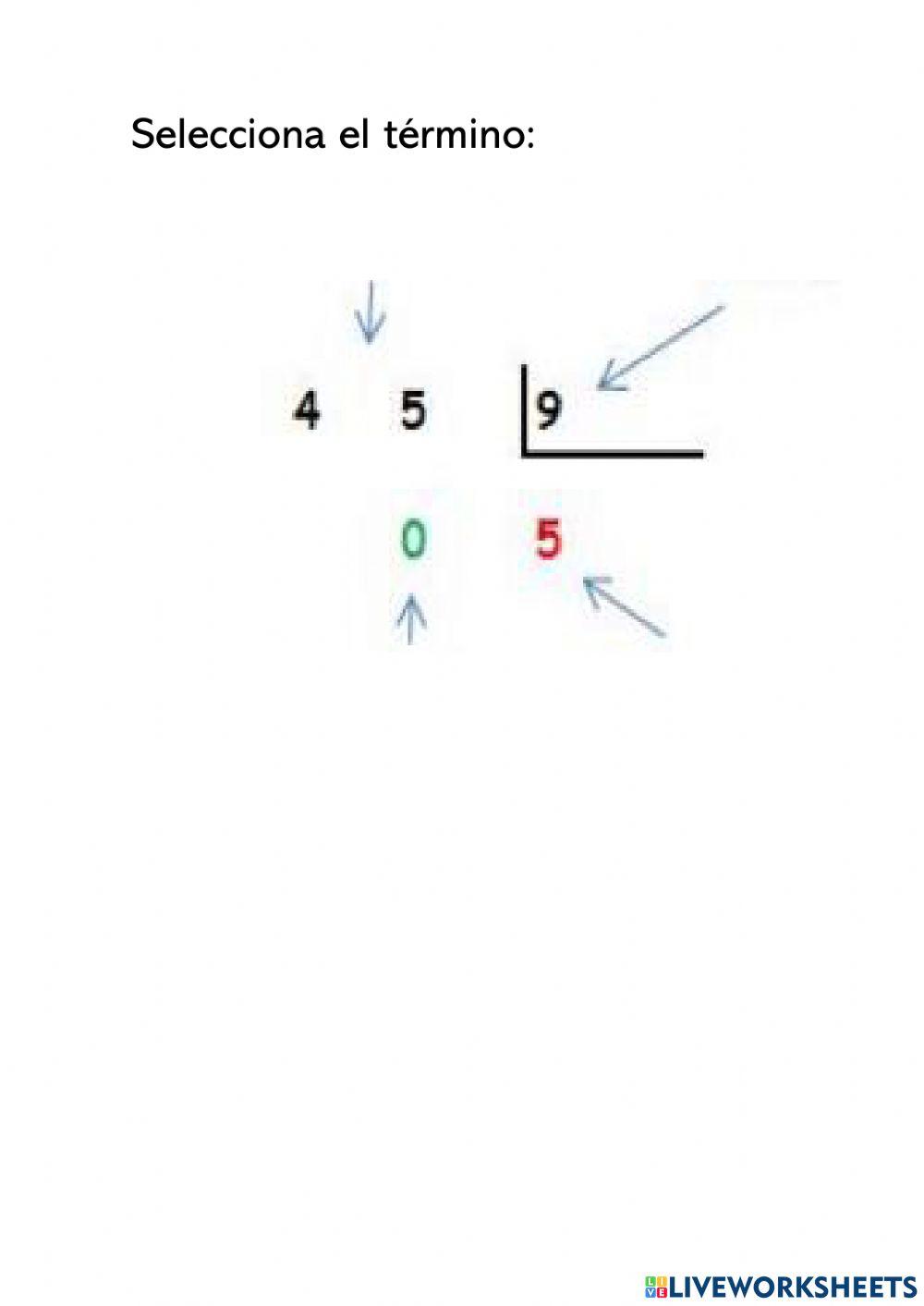 Términos de la división