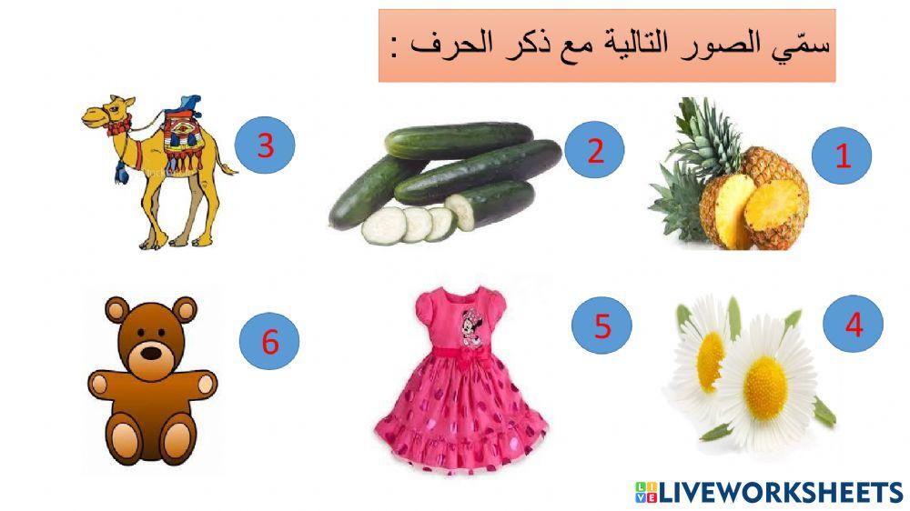 الحروف ( أ - ز )