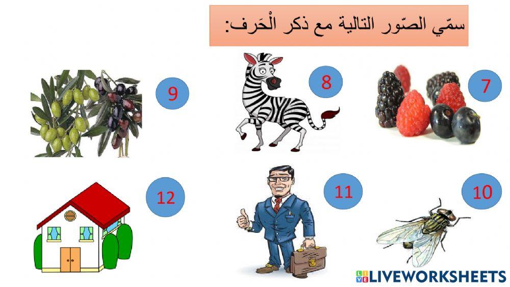 الحروف ( أ - ز )