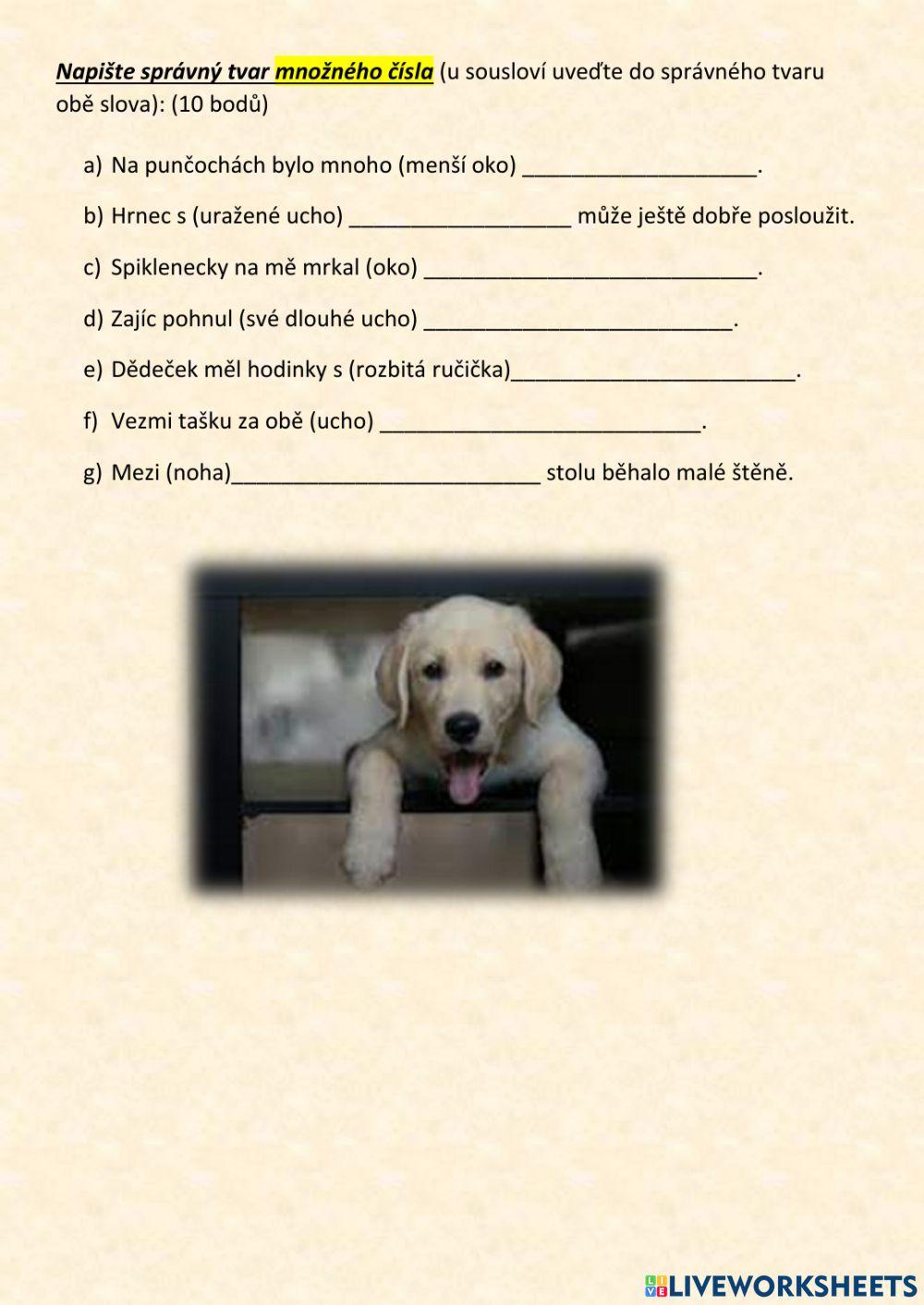 Opakování podstatných jmen