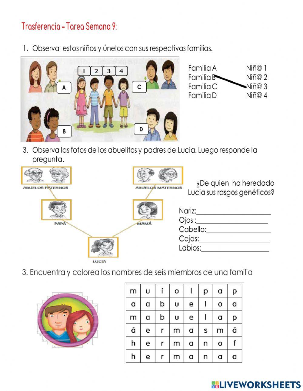 C.N-Transferencia Semana 9