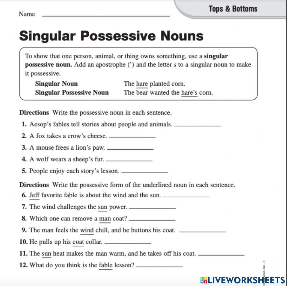 Singular Possessive Nouns