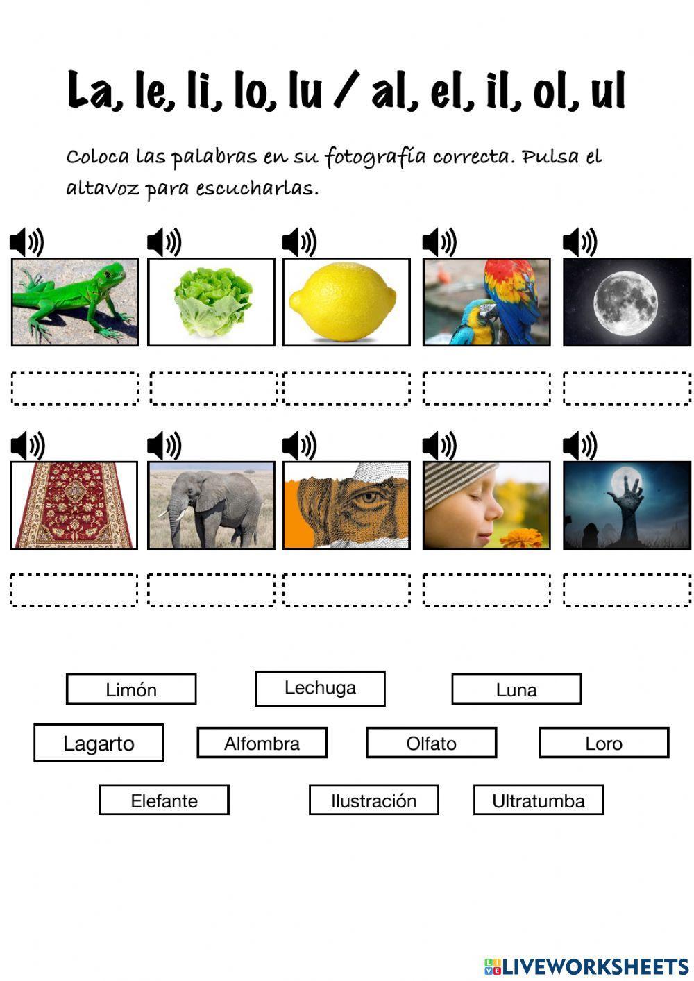 Ortografía Ortografía