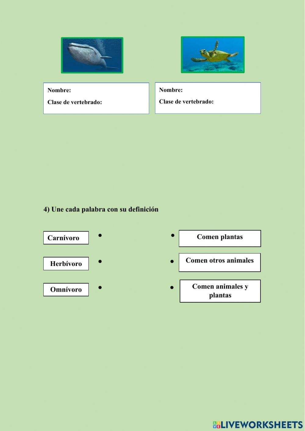 Animales vertebrados e invertebrados
