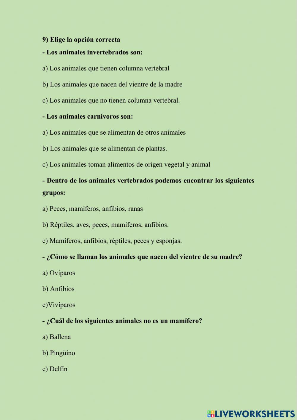 Animales vertebrados e invertebrados