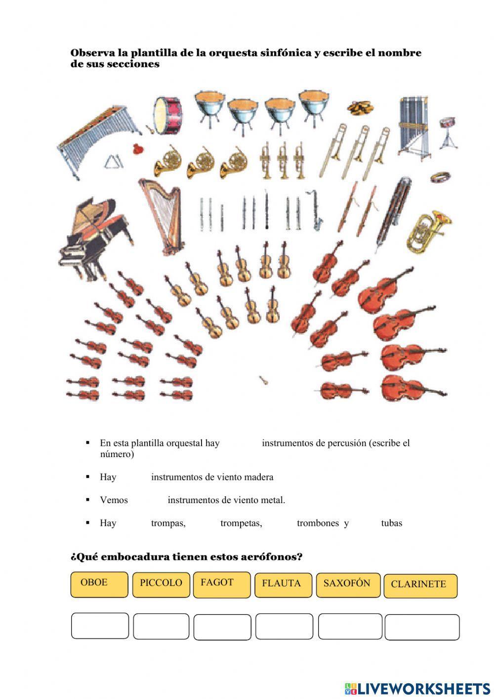 Los instrumentos - autoevaluación Los instrumentos - autoevaluación