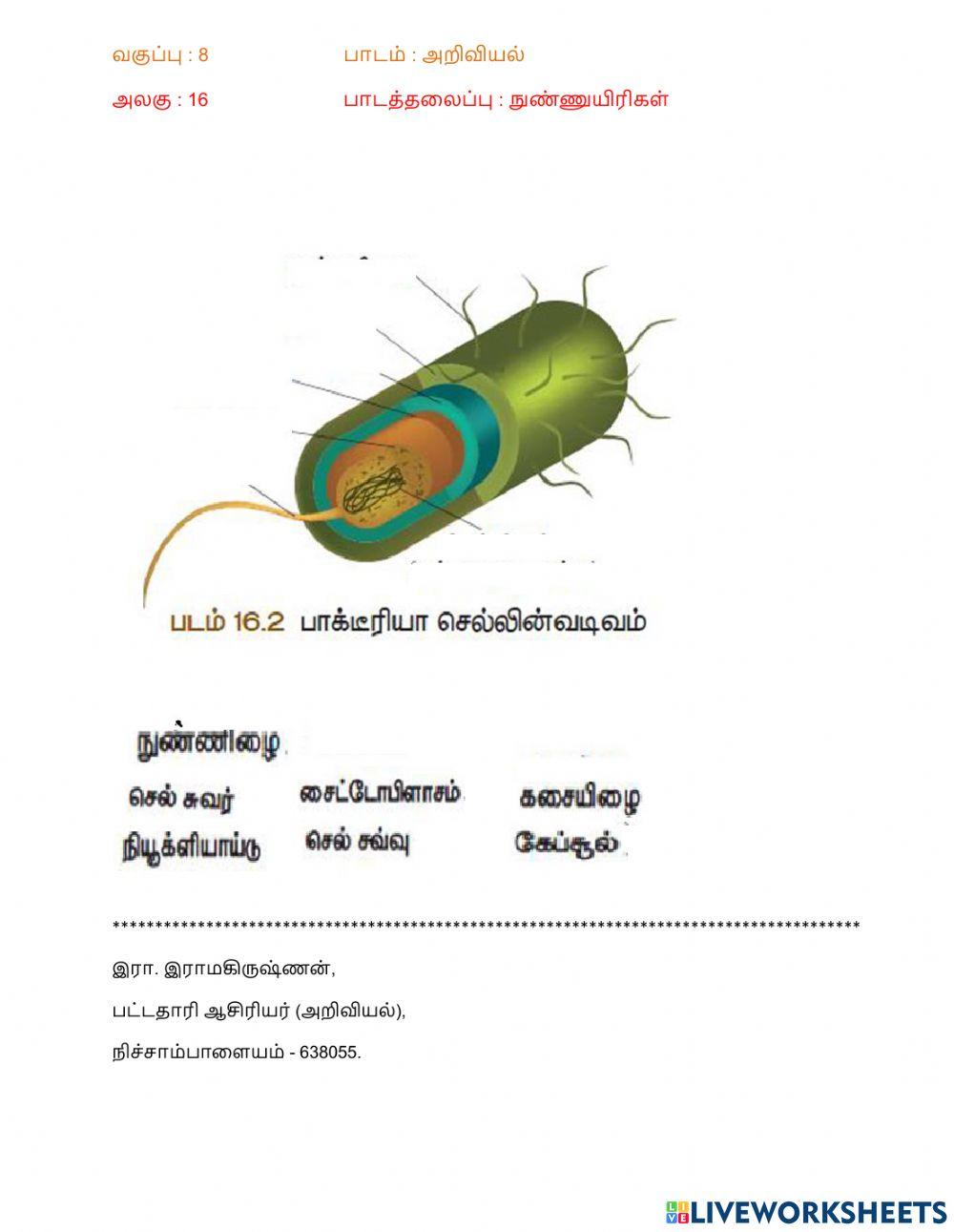 நுண்ணுயிரிகள்