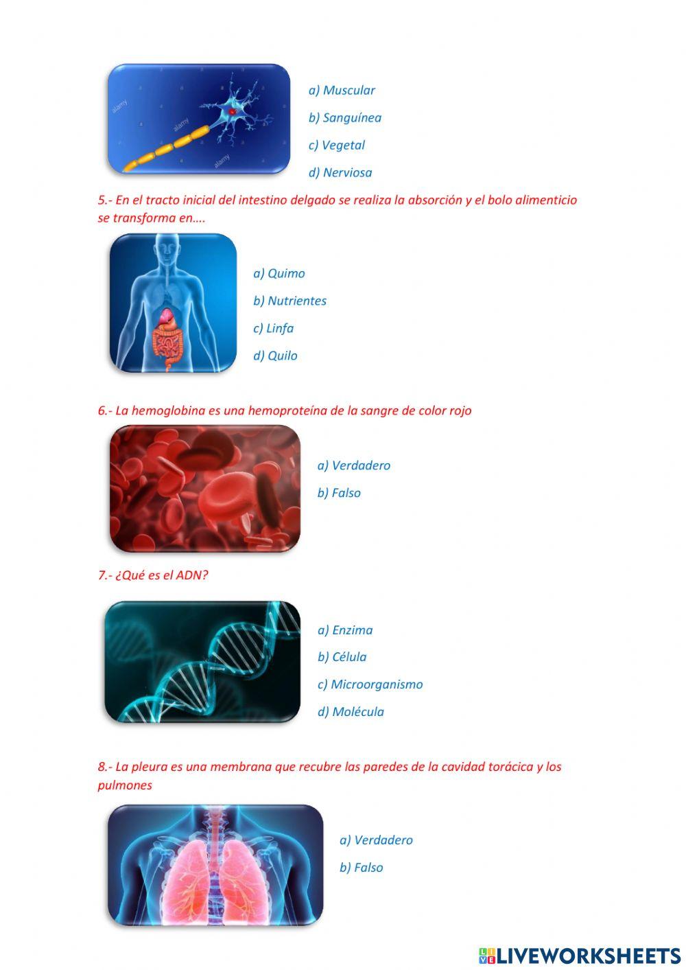 Preguntas de biologia