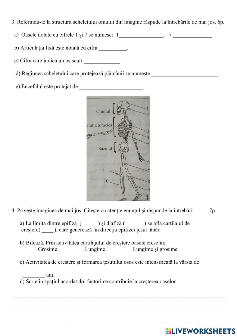 Sistem de susținere