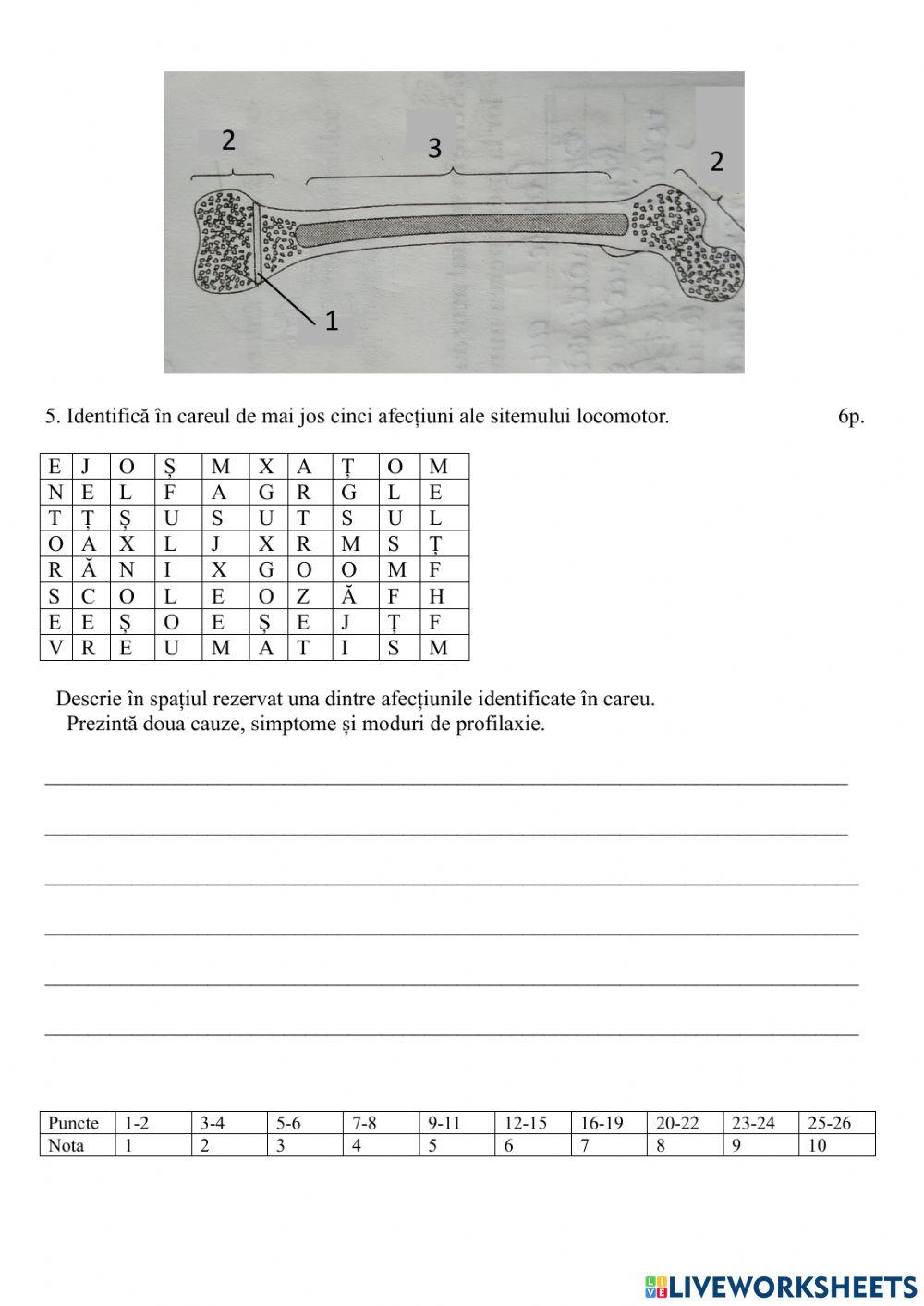 Sistem de susținere