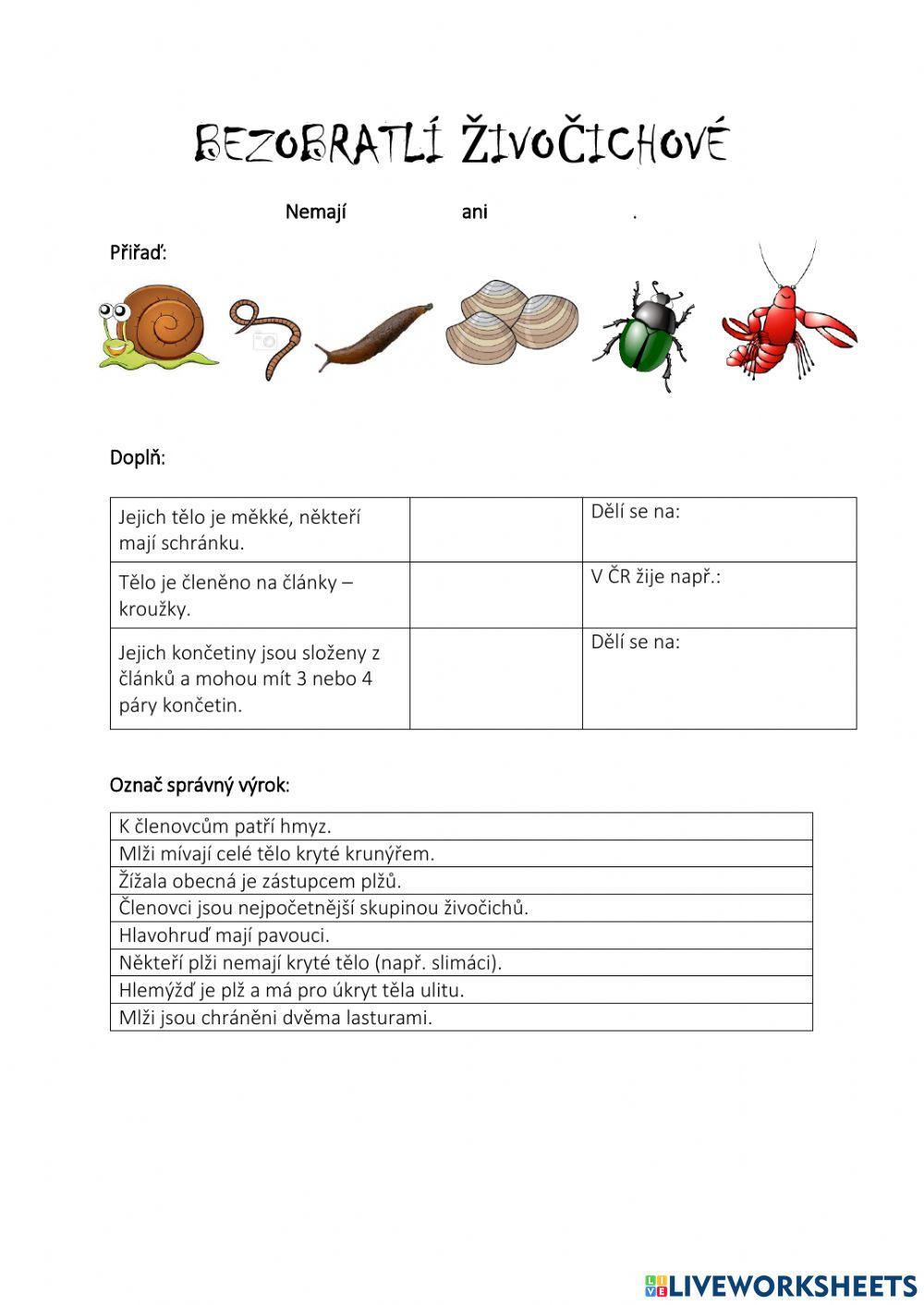 Bezobratlí živočichové