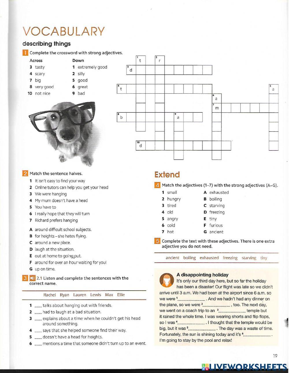 Vocabulary about describing things