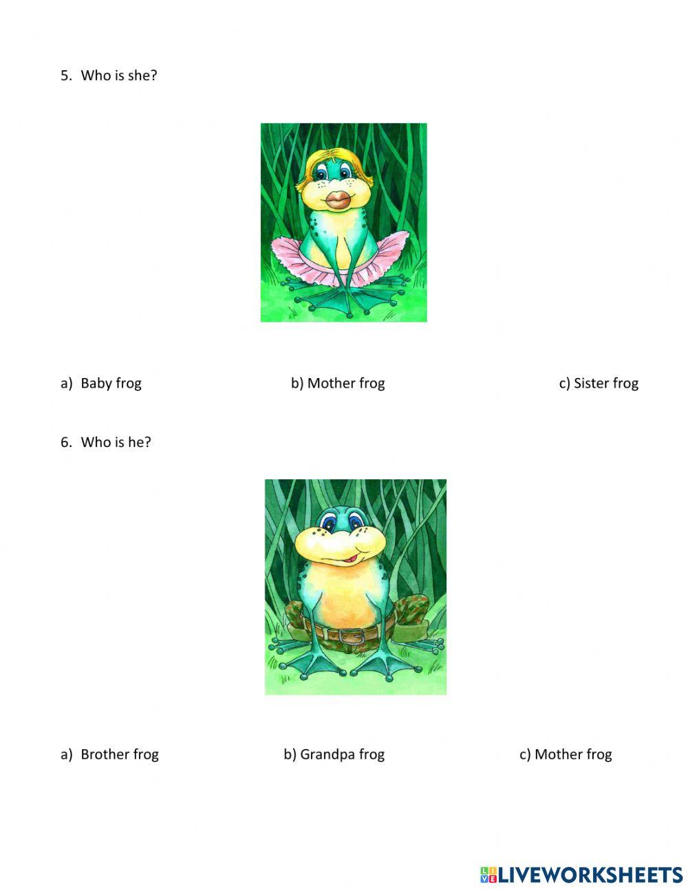 The frog family quiz