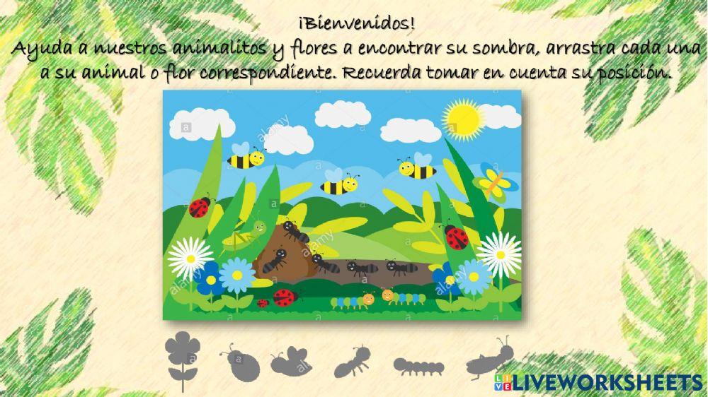 Creación del ambiente