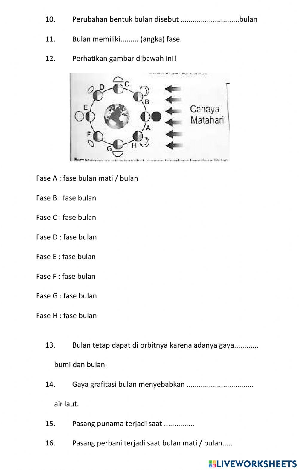 Pb 2 sub 2 tema 8 ipa 157