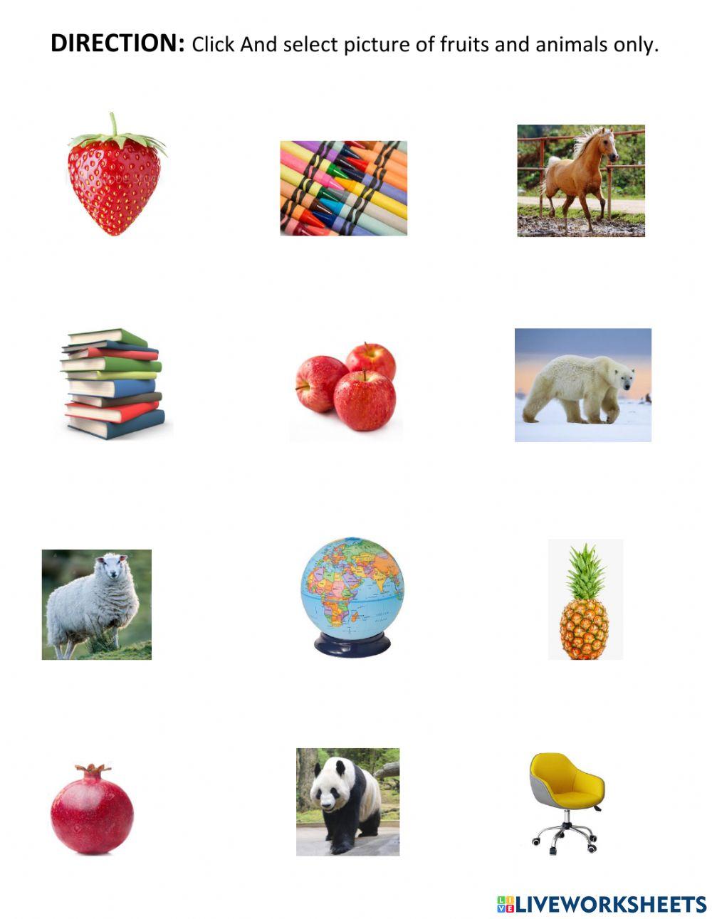 Classify the objects interactive worksheet | Live Worksheets