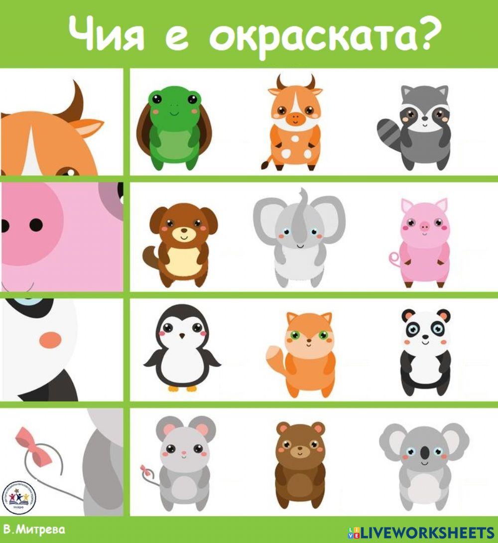 Чия е окраската?