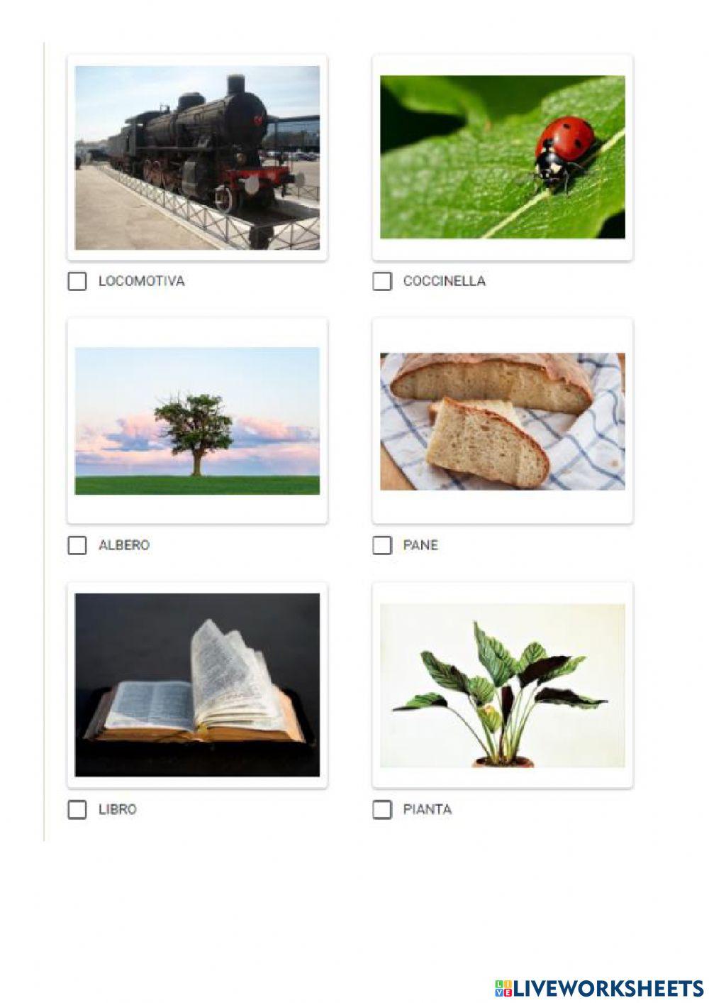 Viventi e non viventi