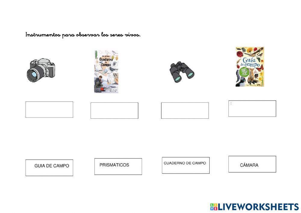 Instrumentos PARA OBSERVAR A LOS SERES VIVOS