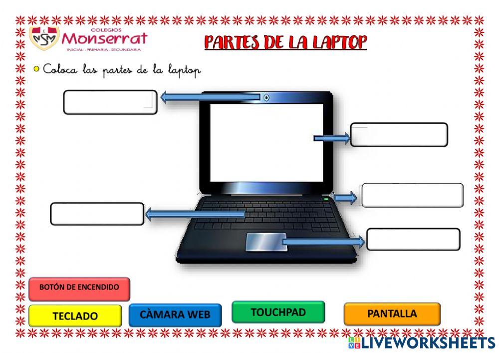 Partes de la computadora y laptop