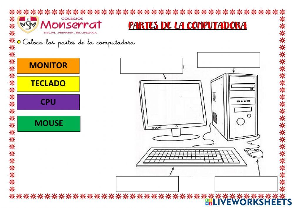 Partes de la computadora y laptop