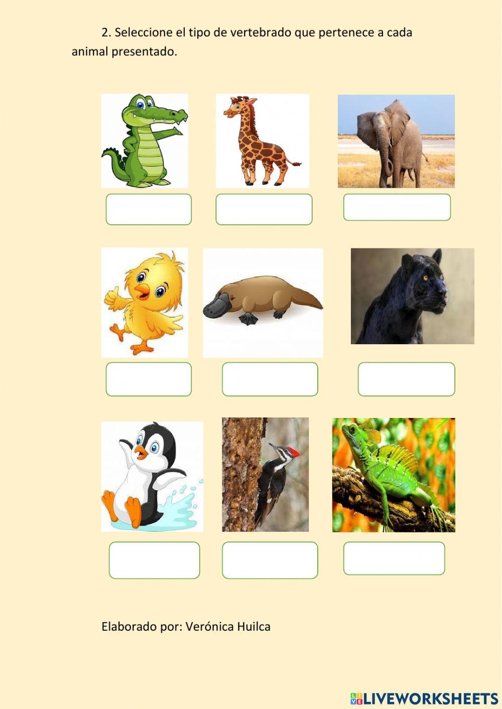 Animales vertebrados