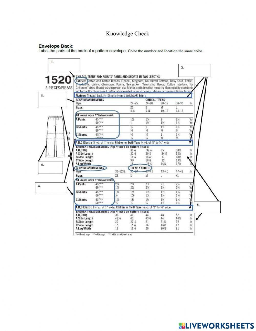 Pattern Envelope Back