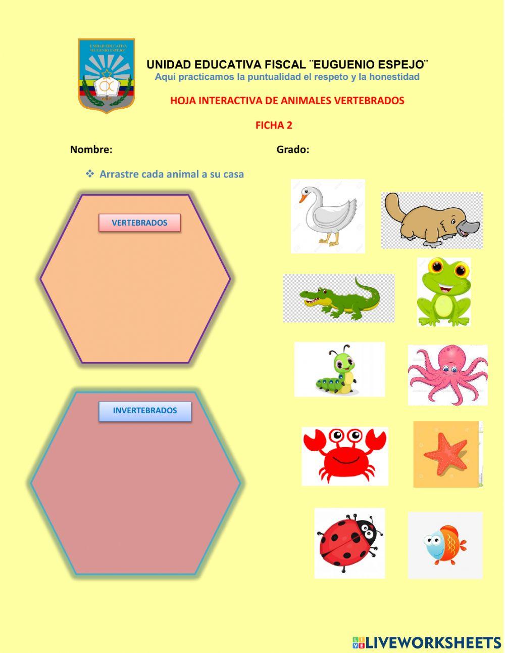 Animales Vertebrados