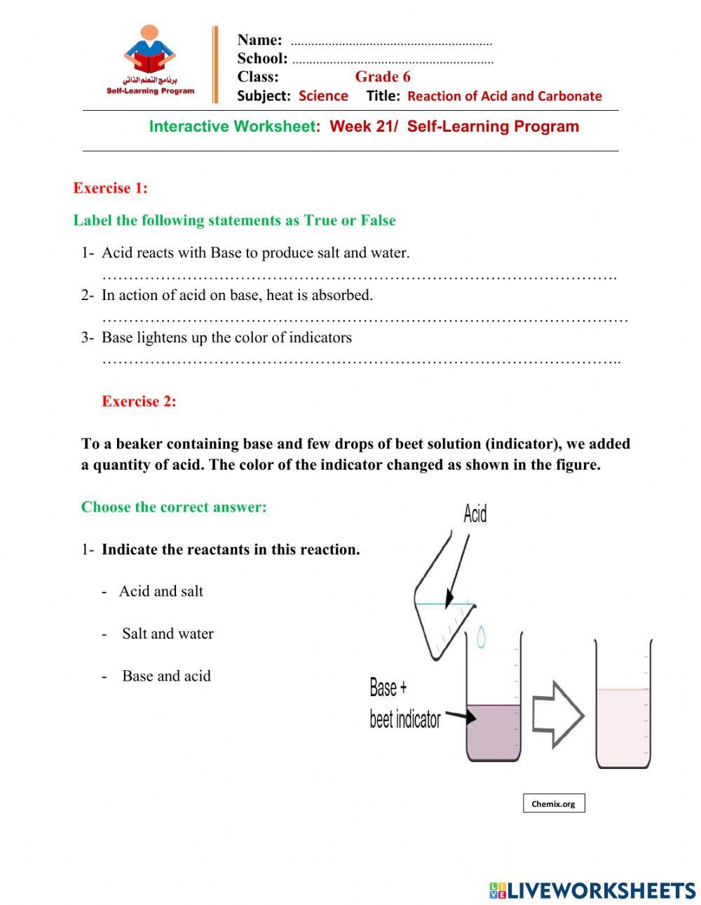 W21 Gr6-Sc-D4-Int. WS