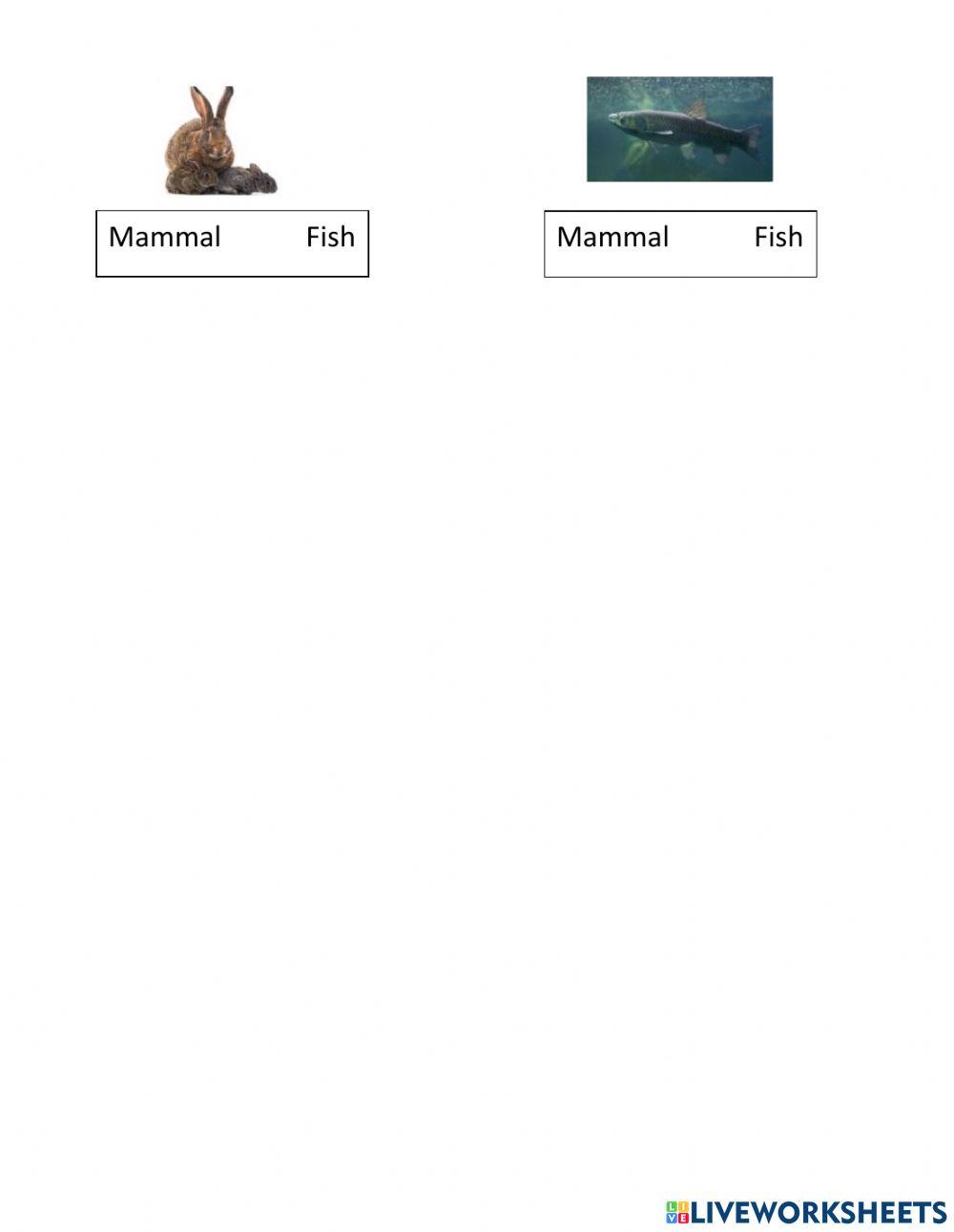 Science First Term Evaluation