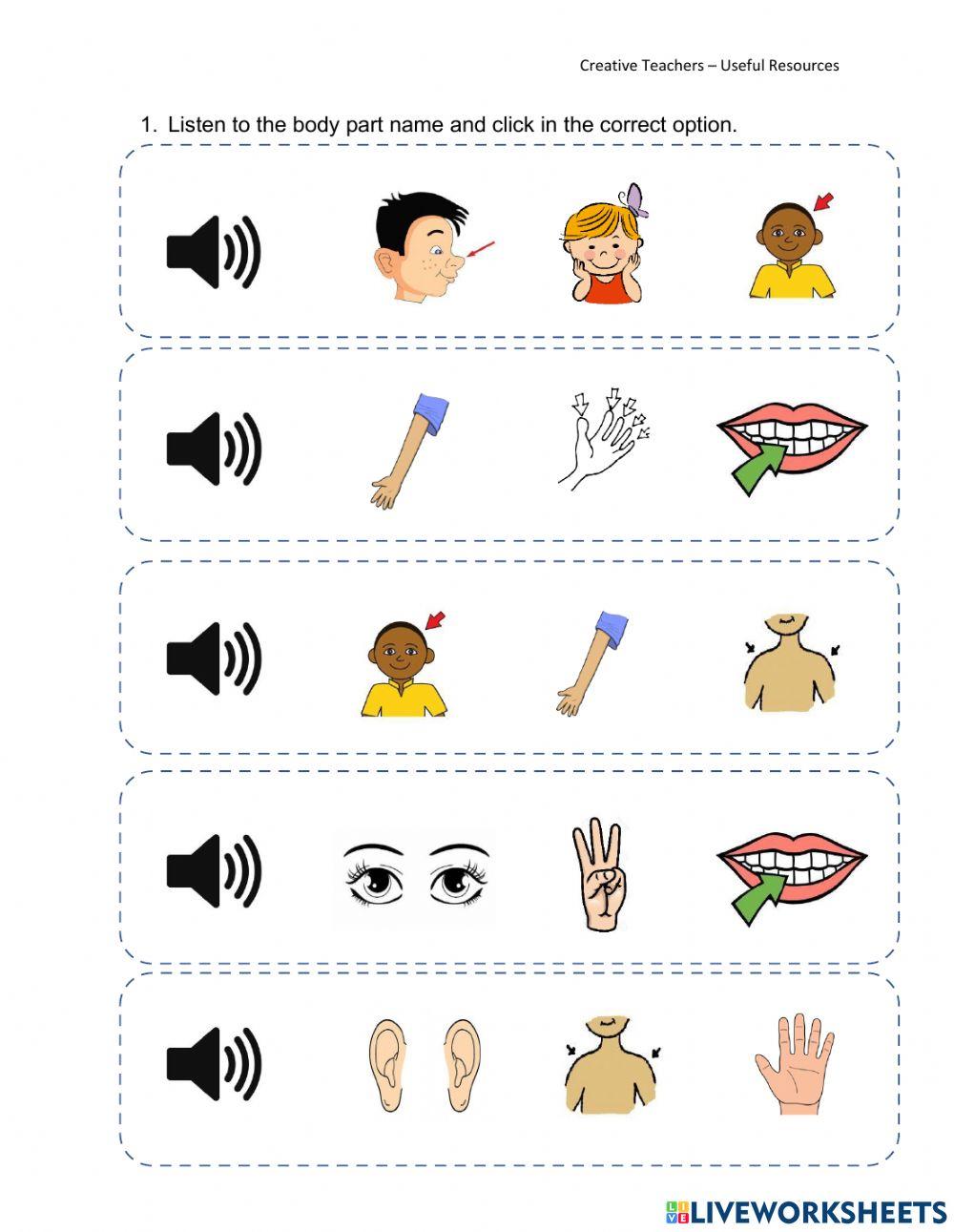 Body Parts - 2nd Grade