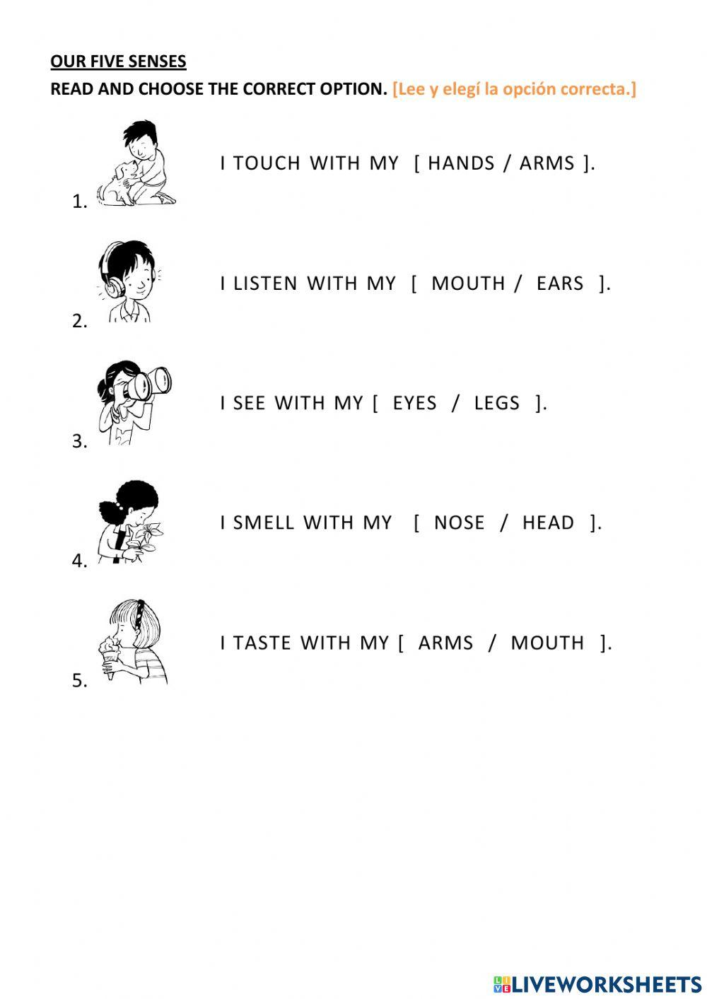 Parts of the Body - The Five Senses