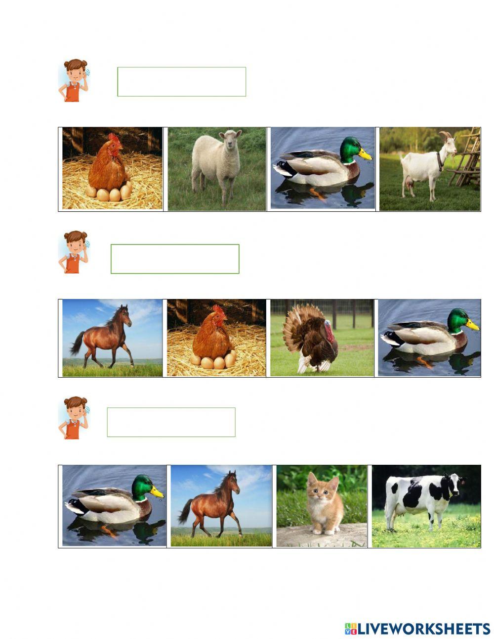 Evaluarea limbajului receptiv-Animalele domestice