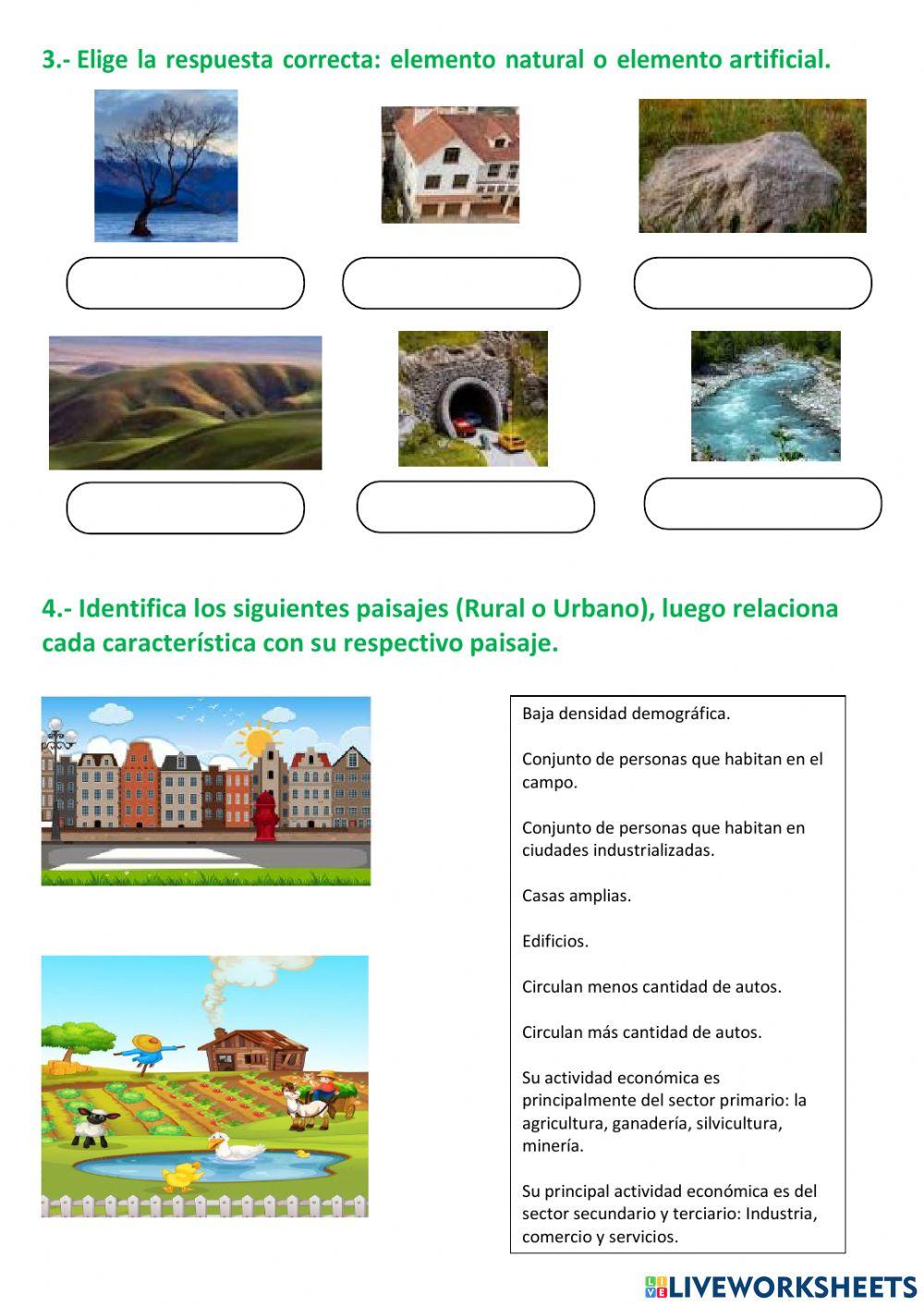 Repaso de ciencias sociales