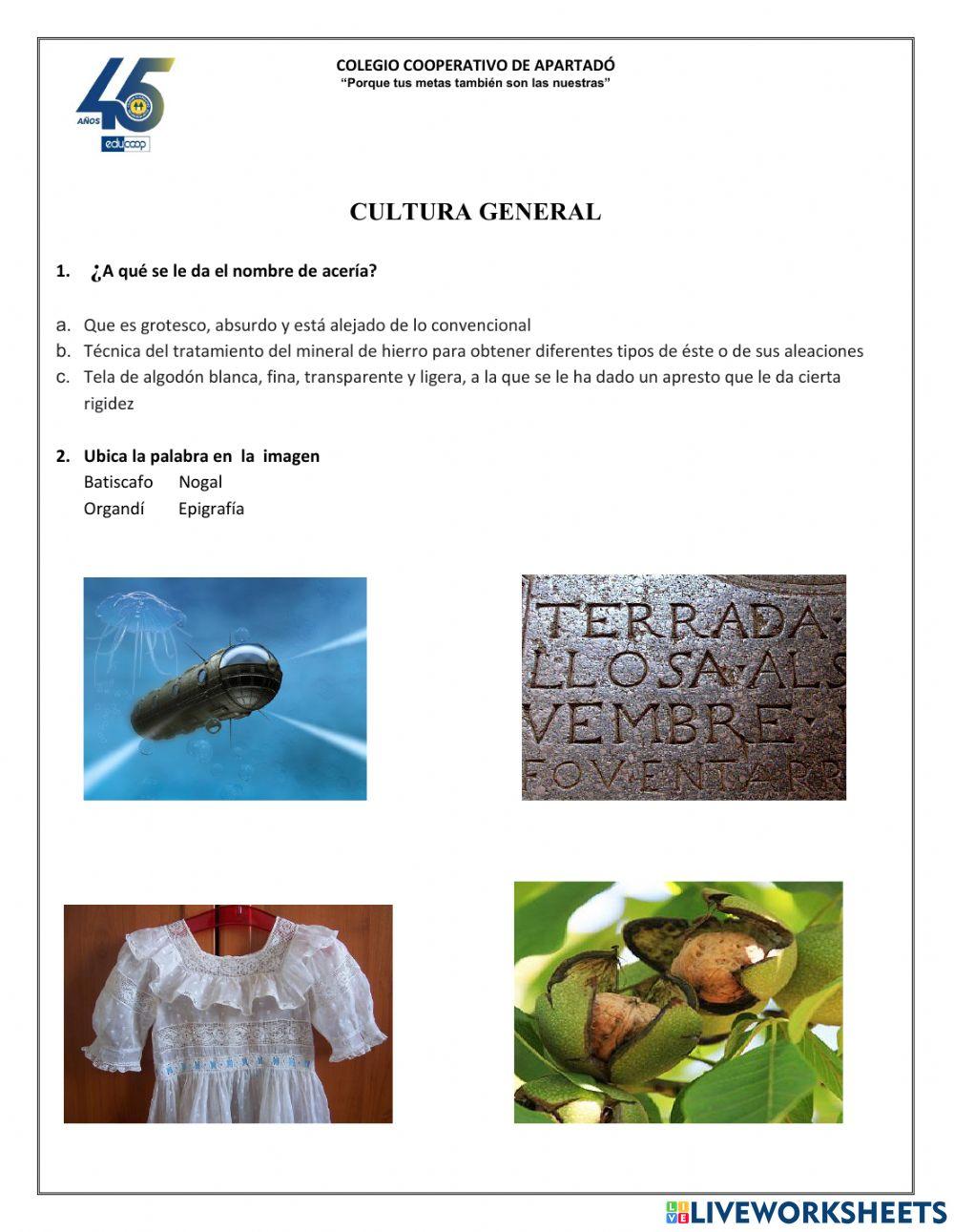 Actividad: Cultura General 2