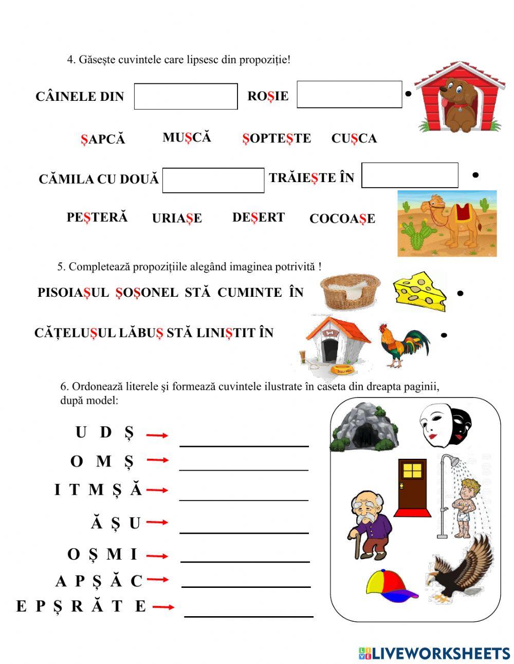 Sunetul și litera ș