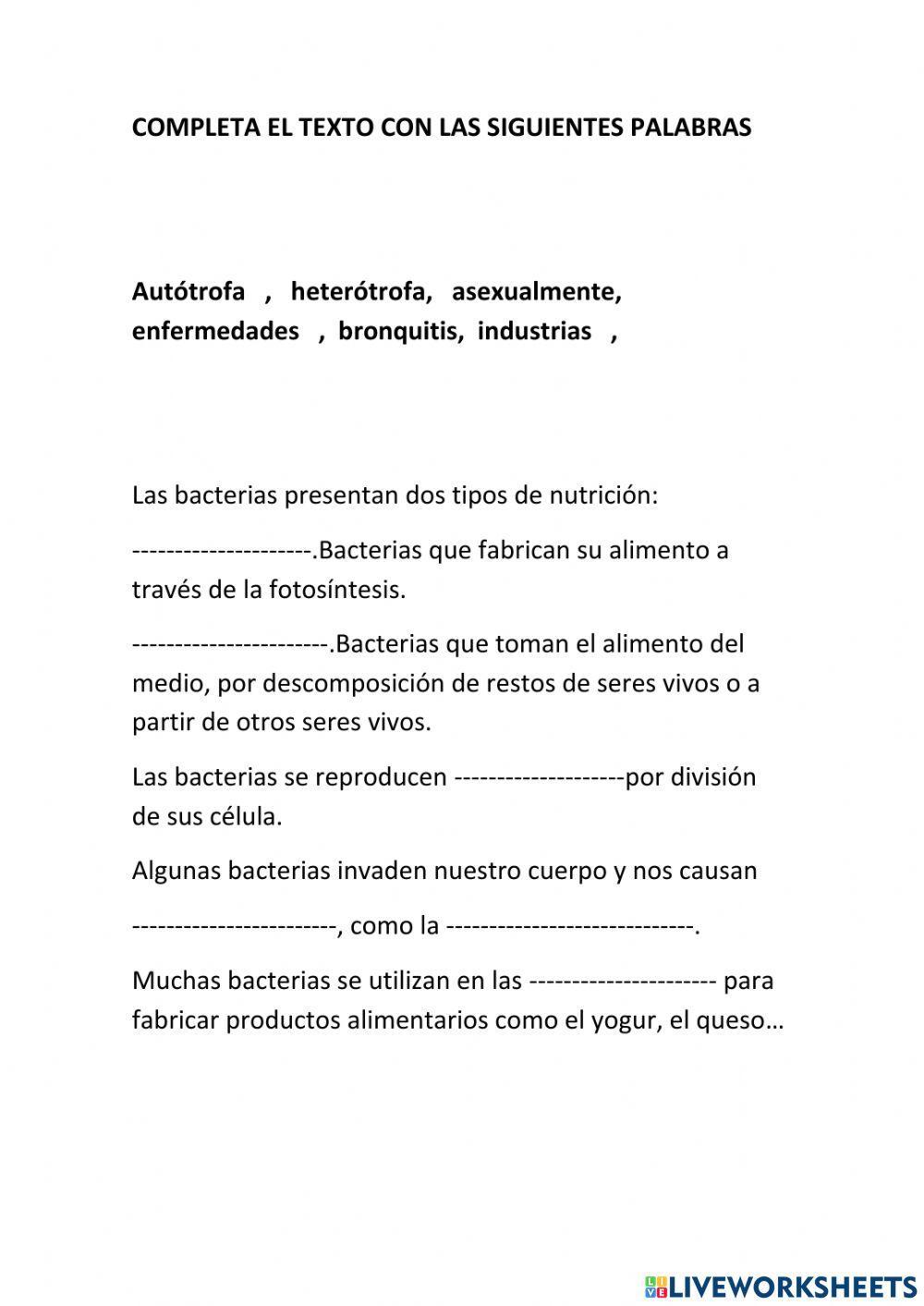 Las bacterias