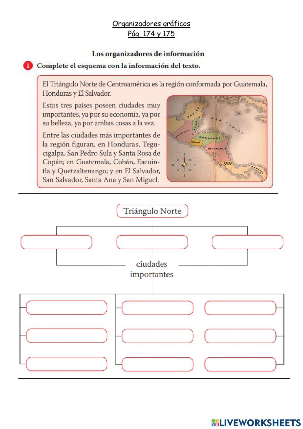 Organizadores gráficos