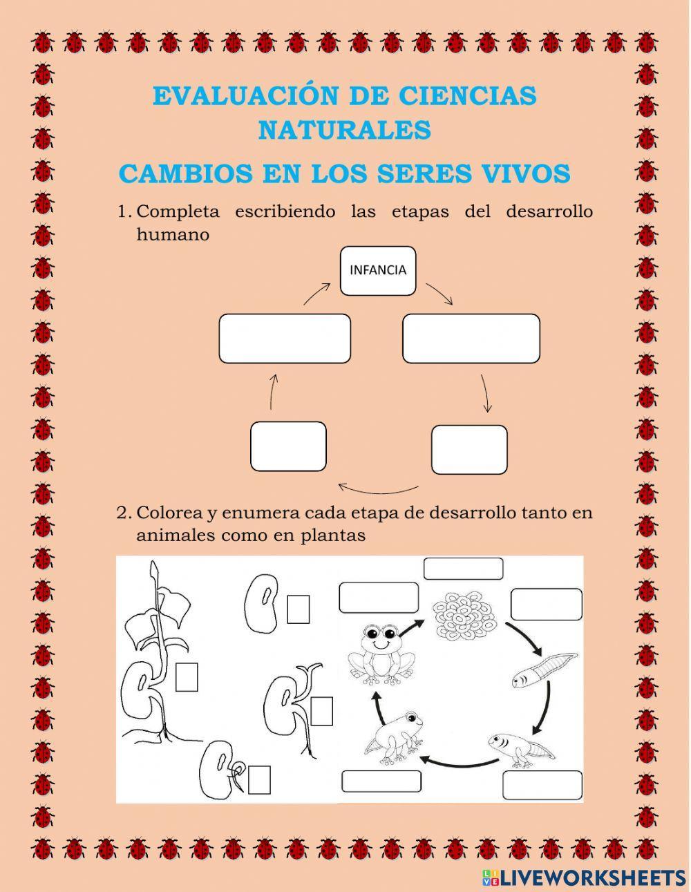 Evaluacion de ciencias