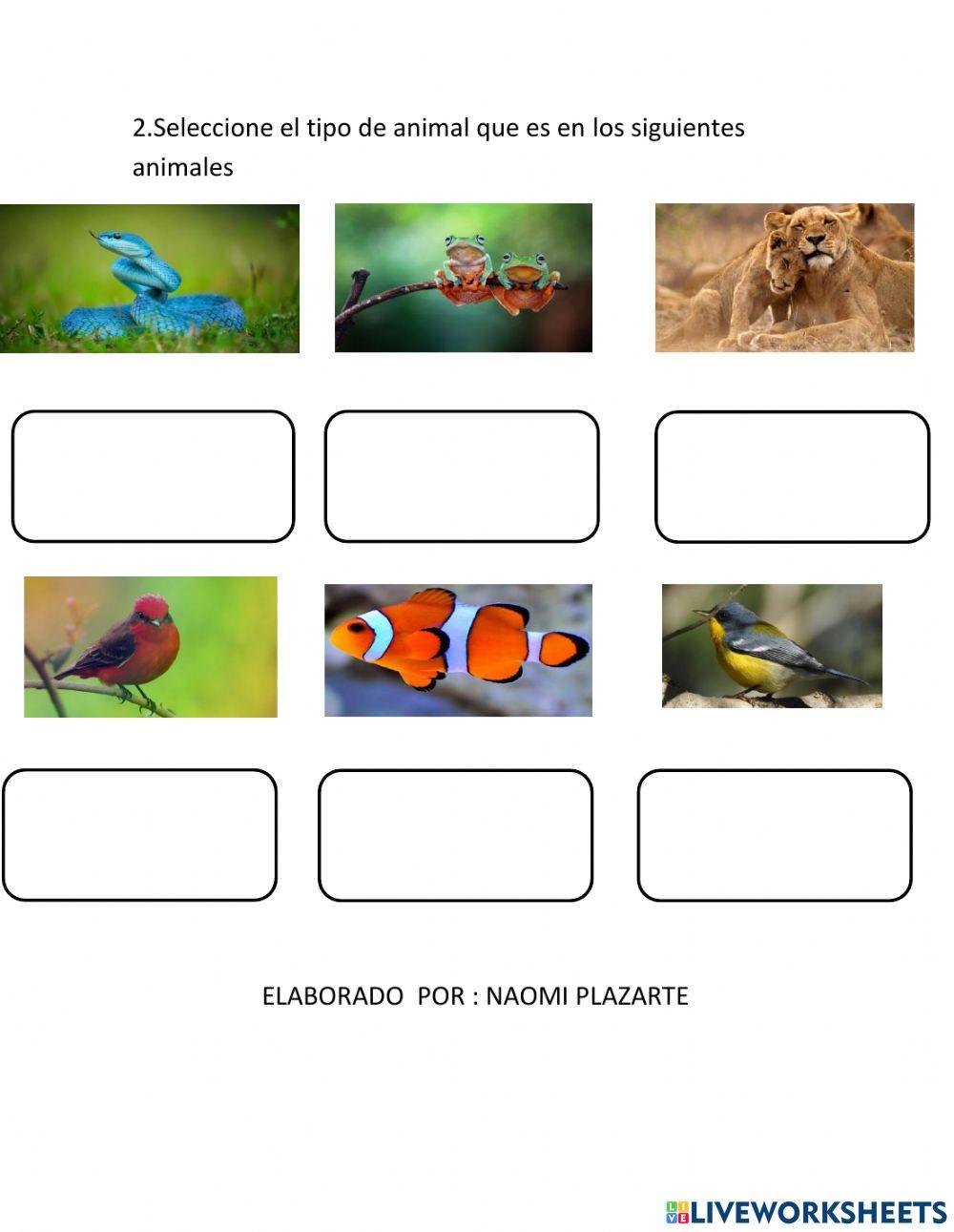 Los animales vertebrados y invertebrados