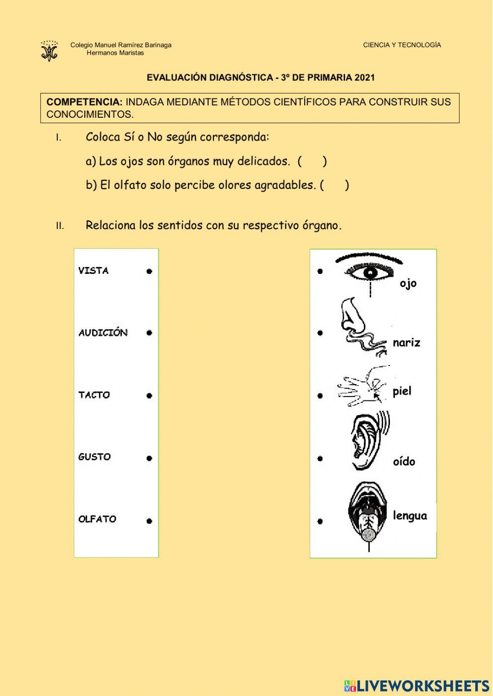 Evaluación Diagnóstica 2