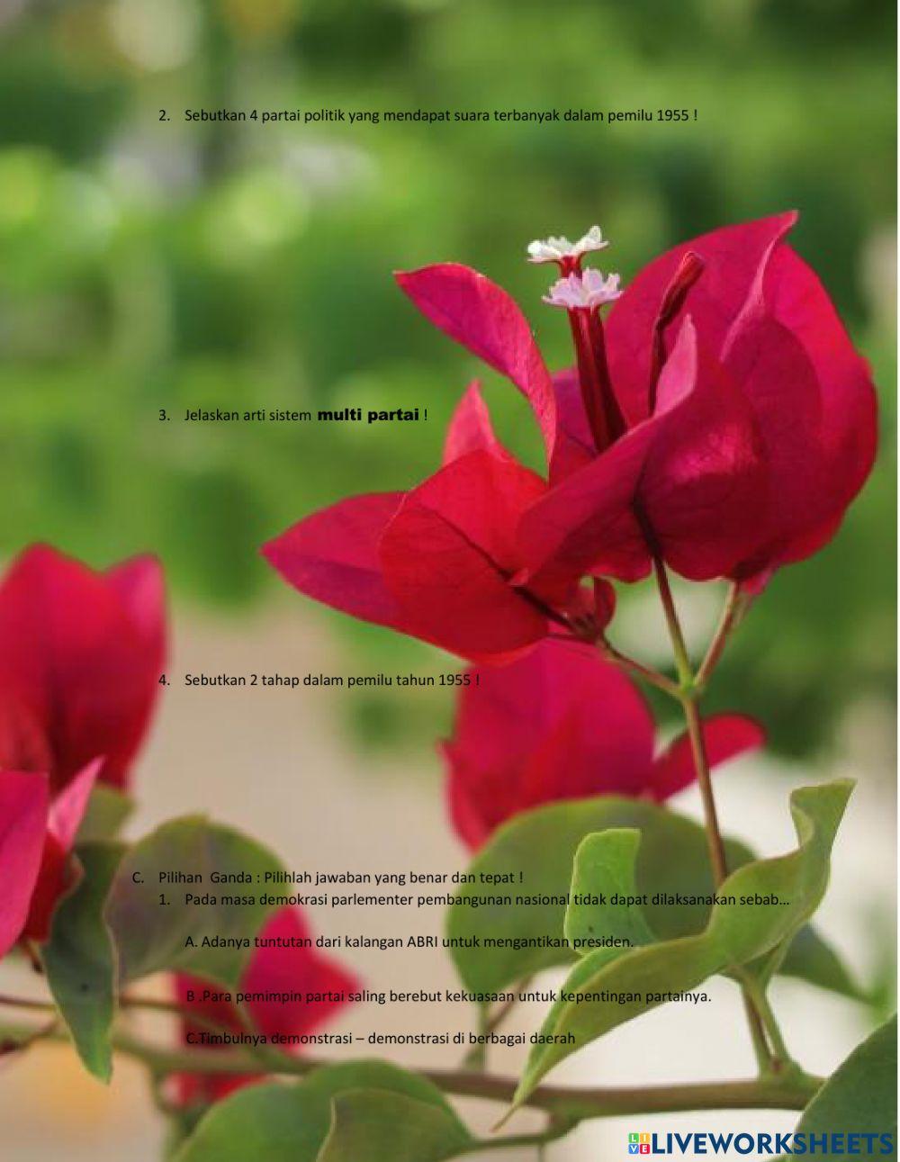 Masa Demokrasi Parlementer