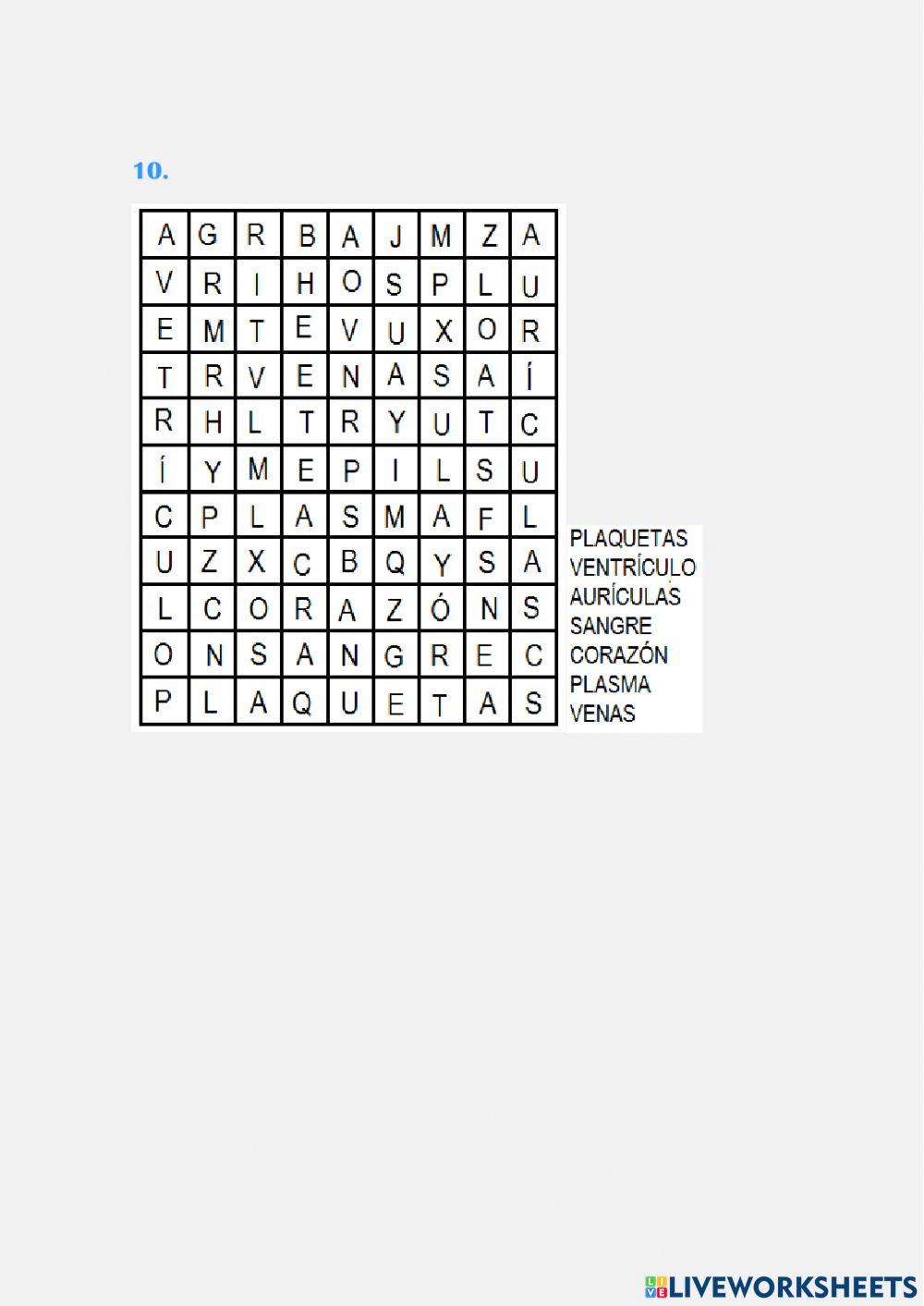 Sistema Circulatorio